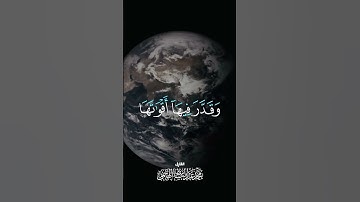 #قران_كريم_بصوت_جميل_جدا #تلاوات_مؤثره_جدا #رمضان_مبارك #quran #telawat #quranvideo #اسلام #اذكار