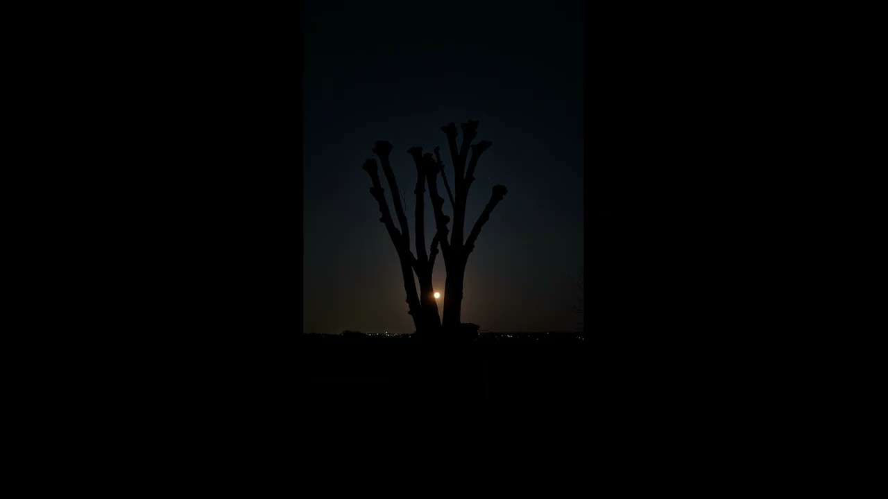 Moonlit night, 16 seconds of silence