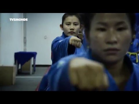 Vovinam on TV5 MONDE