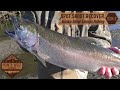 2020 ALASKA | Silver Salmon Fishing Expidition