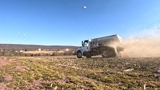 GETTING THE MOST OUT OF OUR 2024 HARVEST by The Veggie Boys 60,506 views 2 months ago 12 minutes, 45 seconds