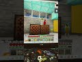I love parrots! #minecraft #popular #viral #memes #gaming #funny #parrot @ParrotX2