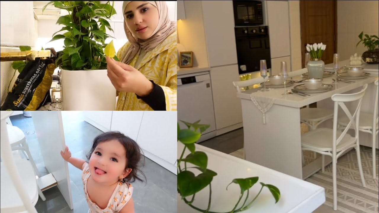 واخيراً نتيجة المطبخ الاخيره🥰معلومات عن واقي الشمس🤩