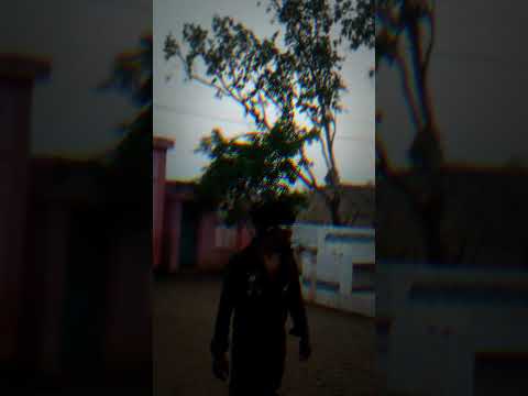 #Vlog #DailyVlog #Vlogger #Vlogging #HindiVlog #LifestyleVlog #FamilyVlogs#VillageLife #AadivasiLife