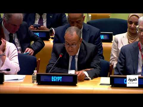 مؤتمر دولي حول القضية الفلسطينية... دعوات لحل الدولتين وإغاثة غزة