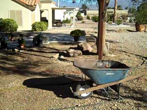 Las Vegas Backyard Renovation Day Four - YouTube