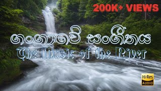 The music of the river