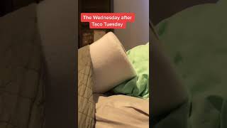 The Wednesday After Taco Tuesday Toiley T. Paper