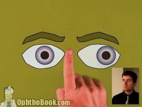 Ophthalmology Lecture - Tropias & Phorias (part 1/2)