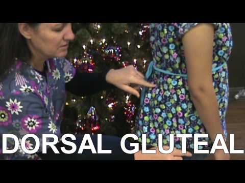 Southern Nursing Skills - Injection Sites