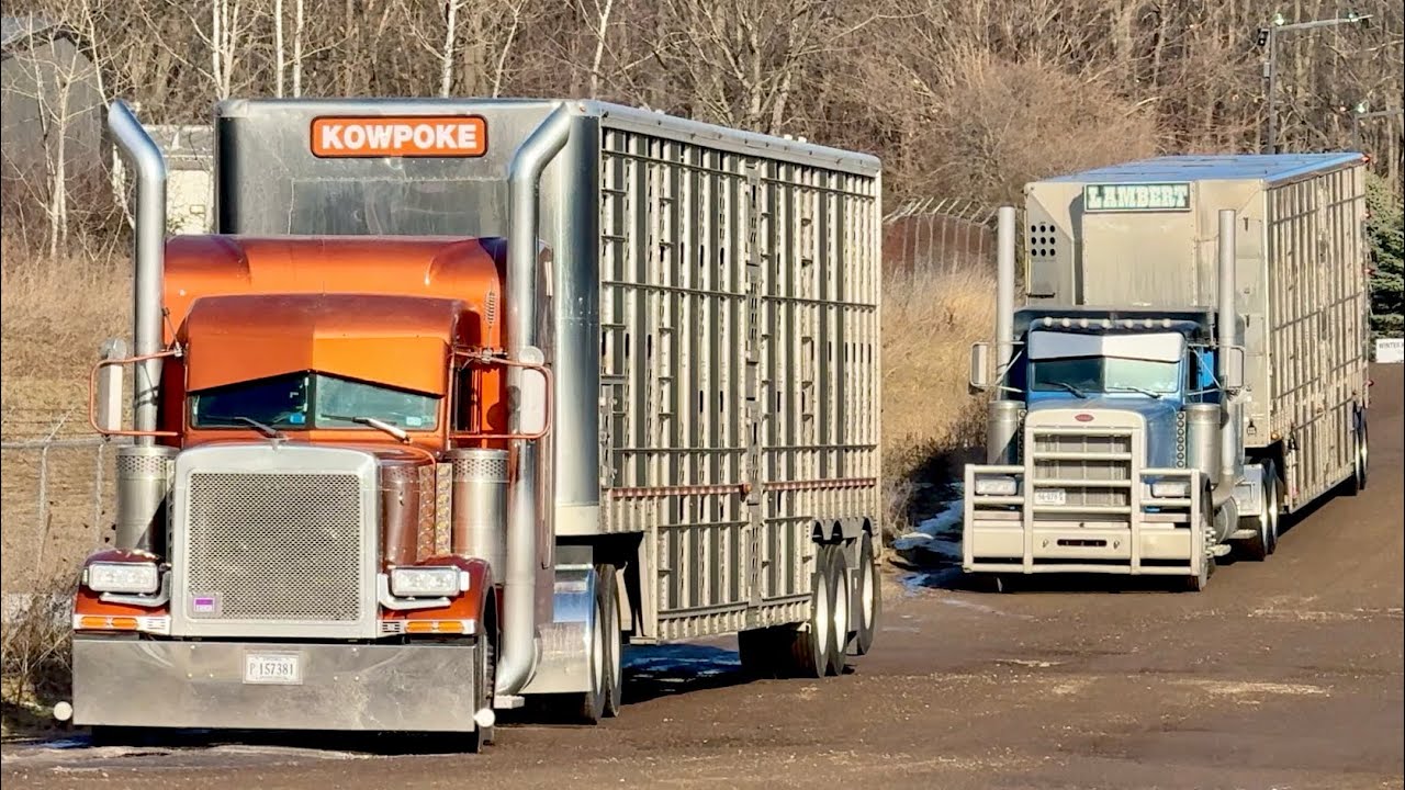 Truck Spotting at D Avenue - Vol. 26 (Kalamazoo, Michigan)