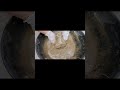 Satisfying Mud dirt crumbling ASMR 💦🔥 || #viralvideo #viral #video #viralshorts