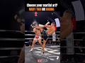 Muay Thai Kick Knockout #shortsfeed #mma #knockout