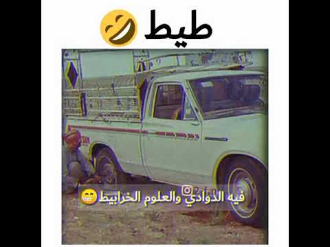 أفضل شعر عن الددسن 