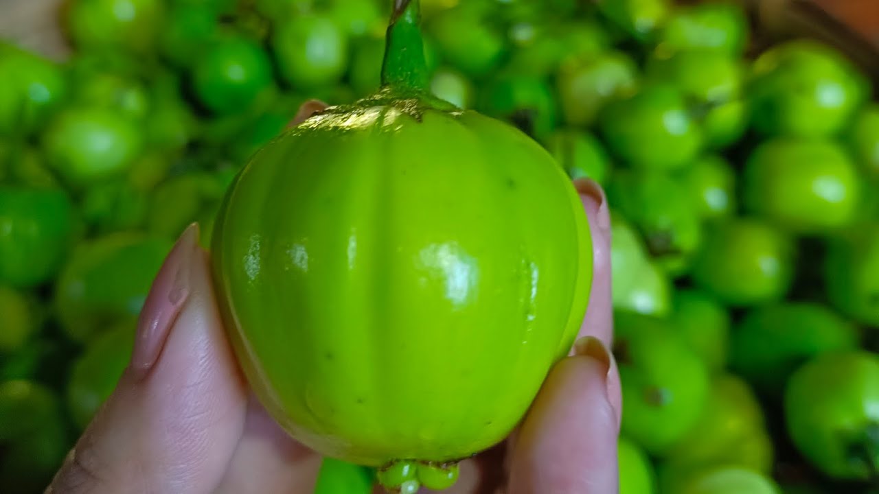 Organic Khambuh Pickle (bitter eggplant) YouTube