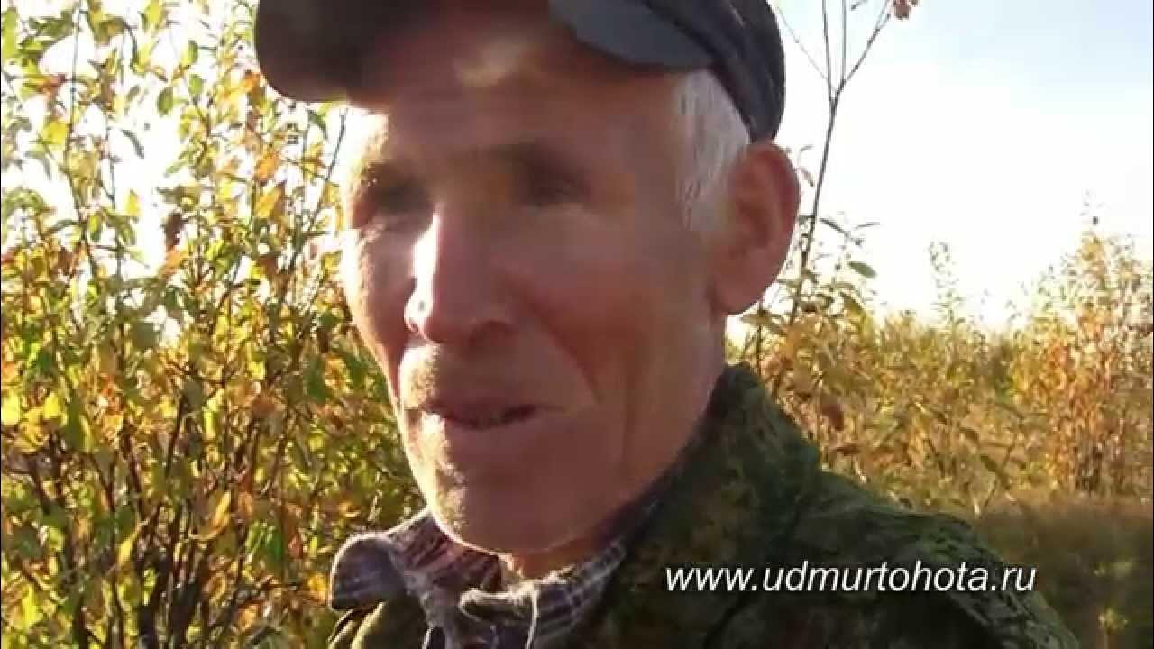 Как манить лося голосом руками. Как правильно манить лося голосом видео. Как манить лося. Вабить лося голосом. Как манить лося.