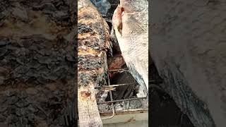 #fyp grilled tilapia😋 🐟 🐠