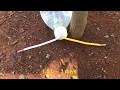 Cách chế tưới nhỏ giọt bằng chai nước đơn giản hiệu quả|Make a drip irrigation with a water bottle