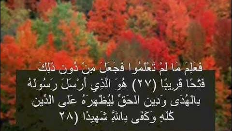 سورة الفتح ( الايه من 18 الى الاخر) عبد الباسط عبد الصمد
