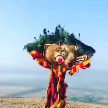 Buat status wa atraksi merak