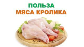 Польза мяса кролика. Польза мяса кролика.