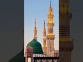 Madina Sharif Beautiful Status 2026 🕌✨