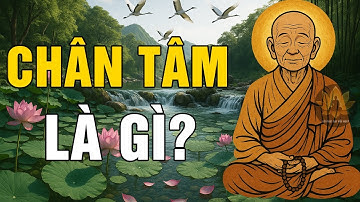 Chân Tâm Là Gì? Lục Tổ Huệ Năng Giúp Bạn Hiểu Thấu Bản Tâm | Lời Phật Dạy Mỗi Ngày