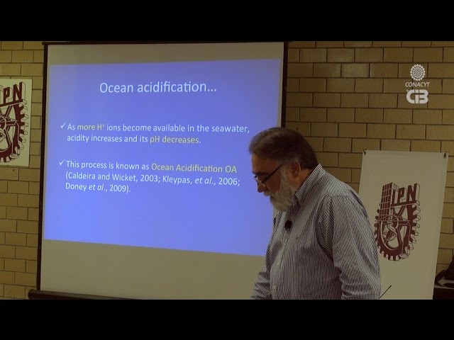 Bioeconomía de la acidificación del océano