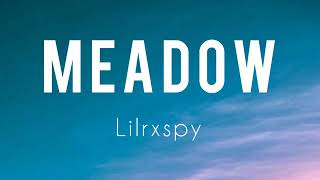 Meadow-Lil rxspy (lyrics)