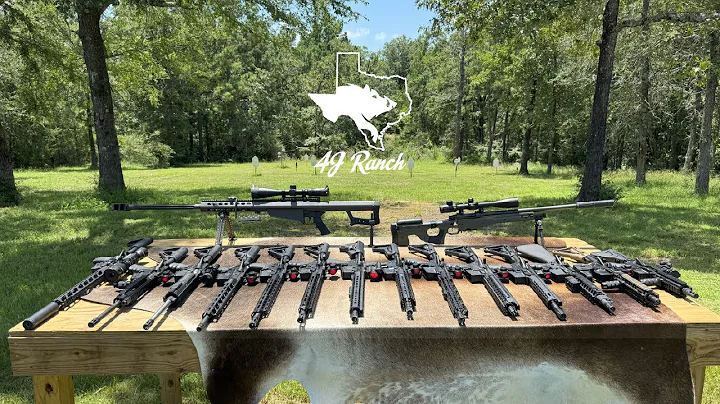 Texas Hog Hunting | Guaranteed Wild Hog Hunts at 4J Ranch