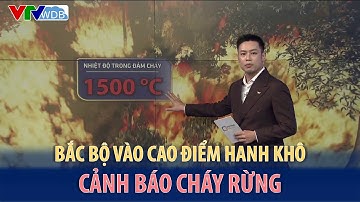 Bắc Bộ vào cao điểm hanh khô, cảnh báo cháy rừng | VTVWDB