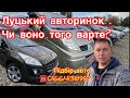 Ціни на Луцькому авторинку 23/10/2023 #автопідбір #автознімеччини