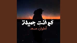 Kam Anti Jamila