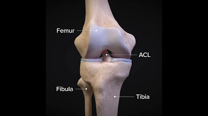 ACLtear.com - What is an ACL Injury? - DayDayNews