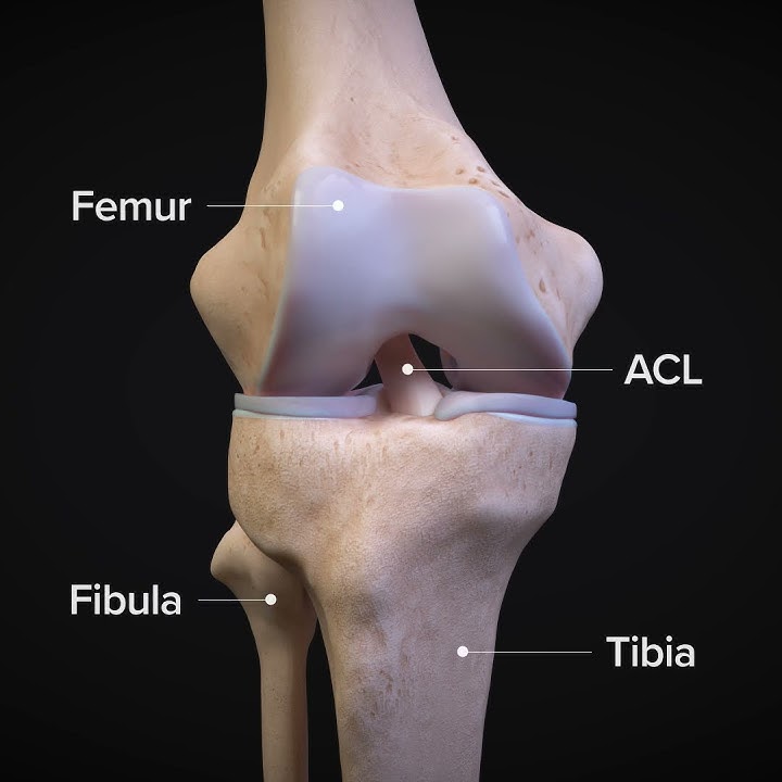 ACLtear.com - What is an ACL Injury?