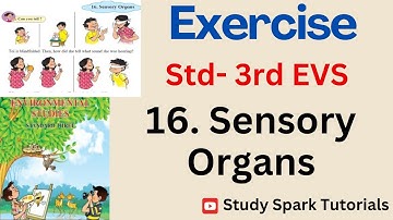 Standard 3rd | Chapter 16 Sensory Organs EVS | Questions Answers Exercise | Lesson 16 class 3