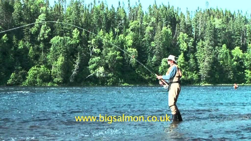 Salmon fishing in Newfoundland YouTube