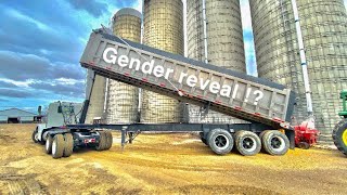 High Moisture Corn | Gender Reveal with Big John Deere Tractor!