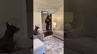 Story of my life 💀😅😂 #shorts #reels #explore