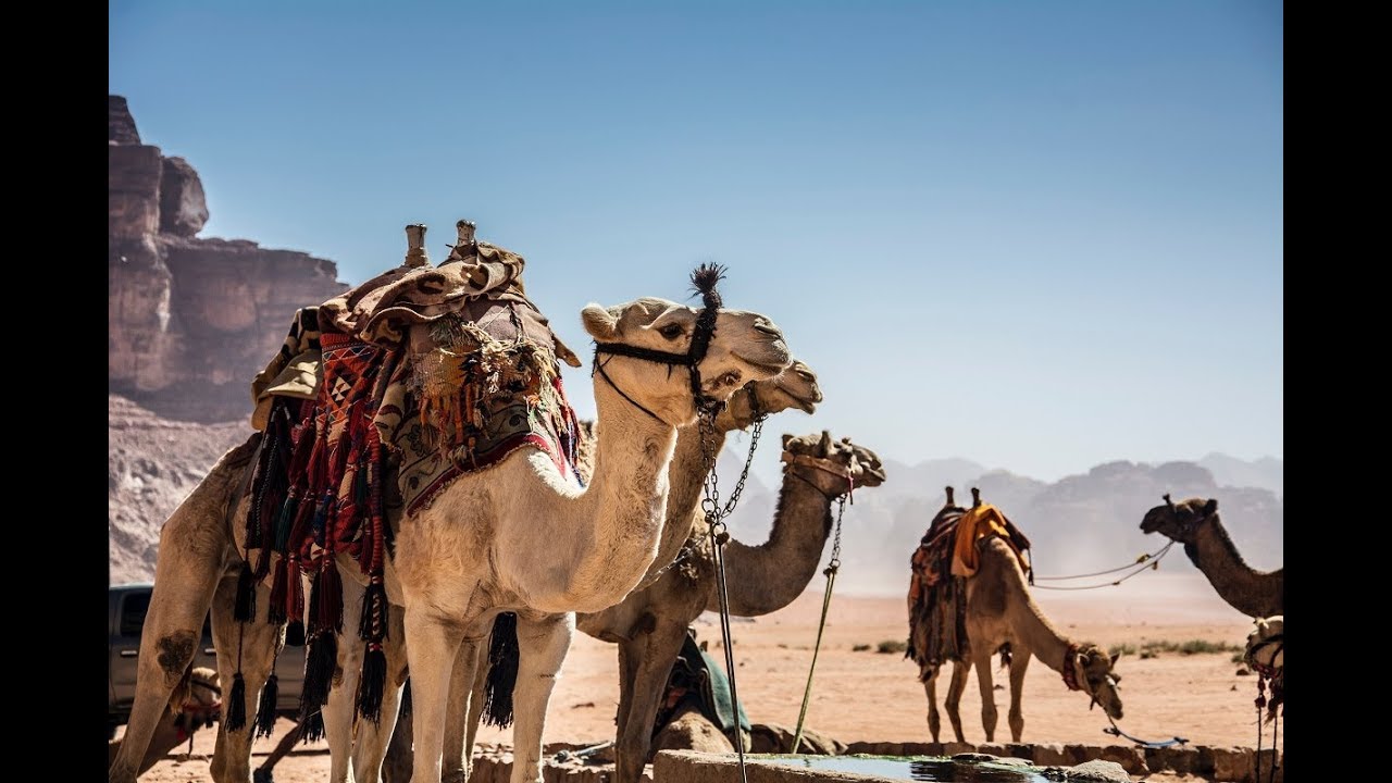 Arabic Future Chill Bass [No Copyright Sound] [ FREE USE MUSIC ] - H5 audio DESIGN - Nostalgia