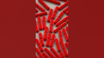 Antibiotic Resistance Explained