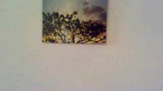 azmwny foto grafy akam shex hadi