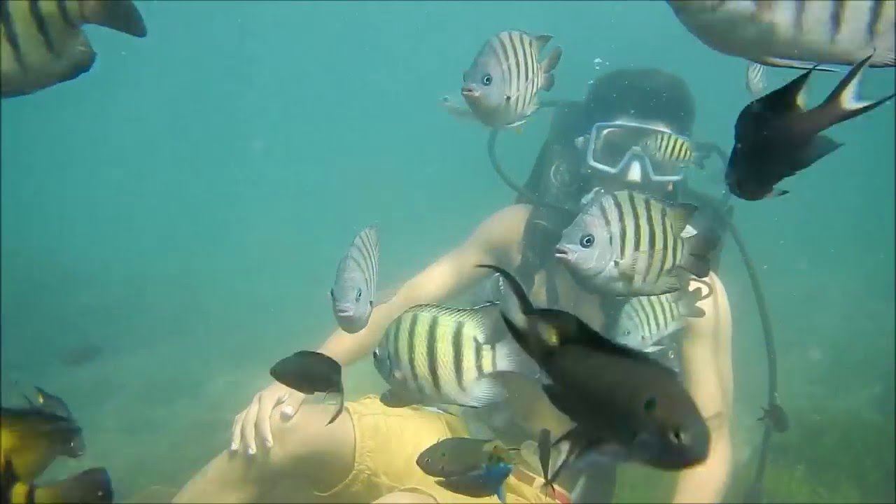 Scuba Diving Goa beach YouTube