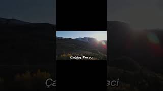 Heidinin Memleketi Değil Sizce Neresi? Yorumları Alalım. Öy