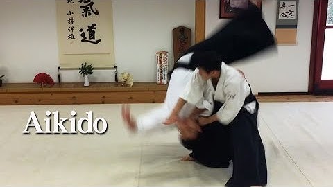 合気道 ‐ 横面打ち自由技 Aikido Yokomen Uchi in Hungary 02