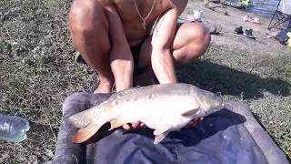 пруд Черноморец 25.08.19г. карпфишинг-2.