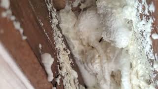 Foam1