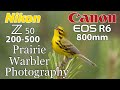 Canon R6 • Nikon Z50 • Prairie Warbler Bird Photography   4K