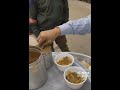 الهنداوي داوي بابا عليك يا بابا