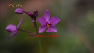 ও ভাই কানাই কারে জানাই দুঃসহ  -  অশোকতরু বন্দ্যোপাধ্যায় screenshot 3